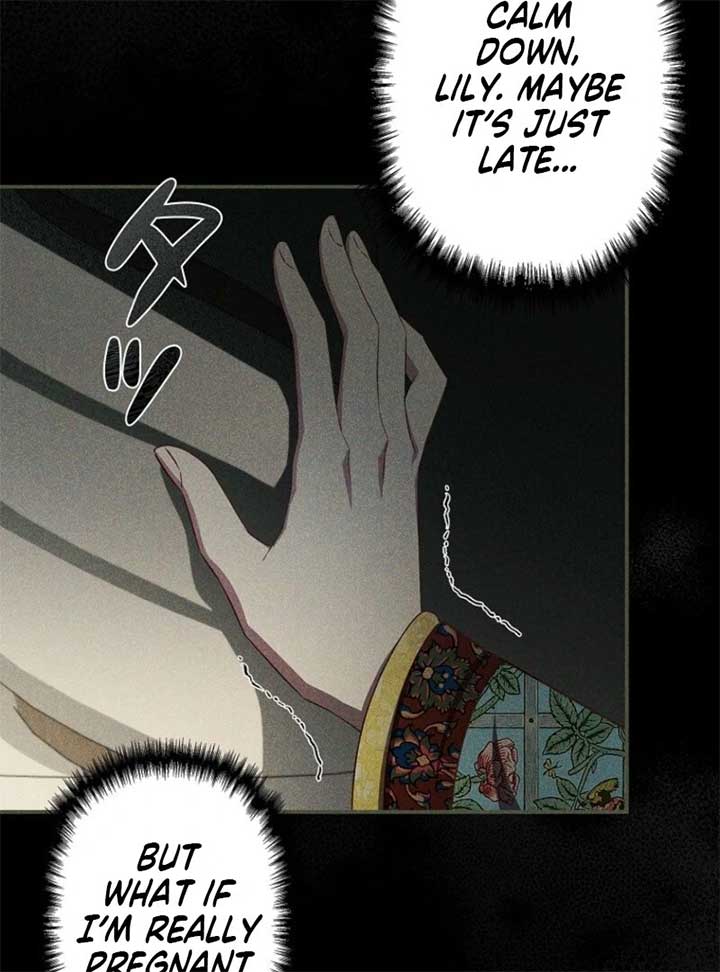 Lily Bush’s Substitute Marriage Chapter 24 5