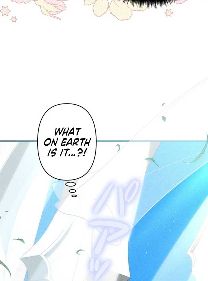 Lily Bush’s Substitute Marriage Chapter 24 74