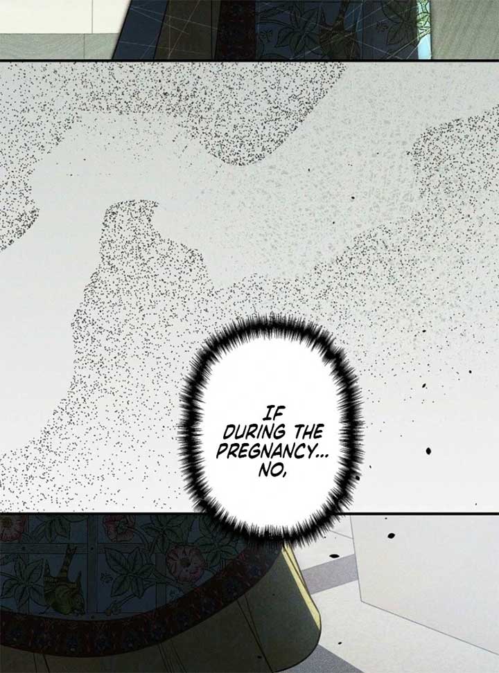 Lily Bush’s Substitute Marriage Chapter 24 8