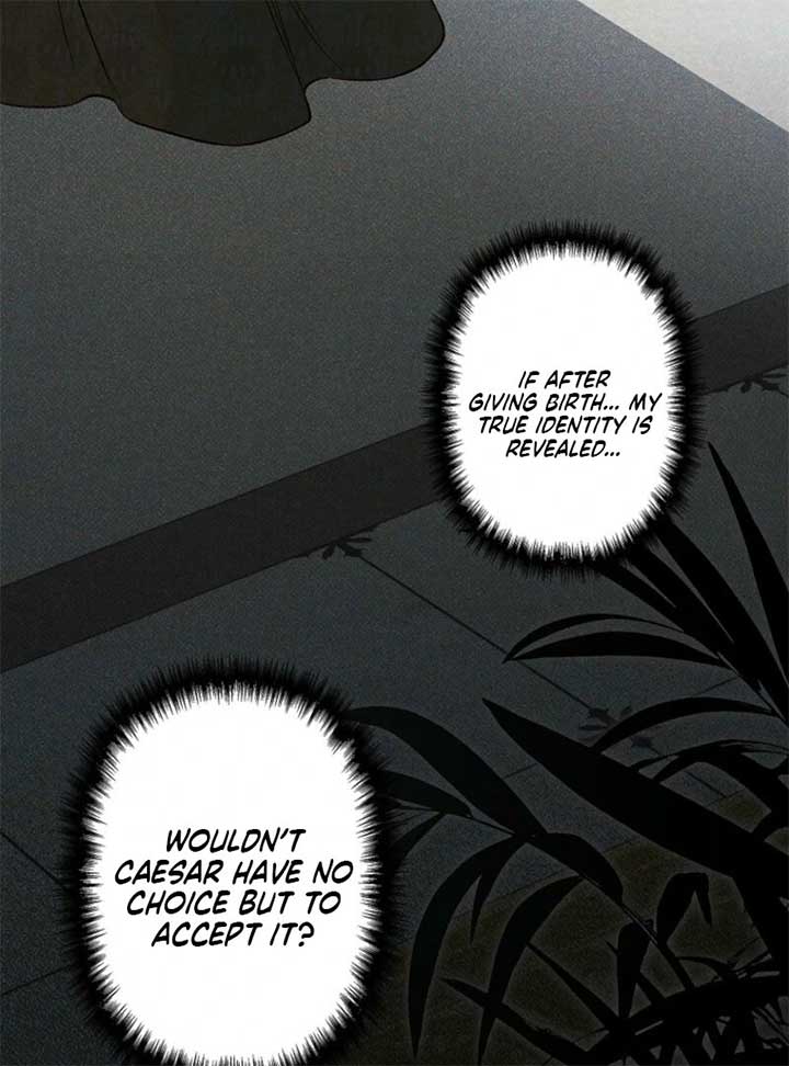 Lily Bush’s Substitute Marriage Chapter 24 9