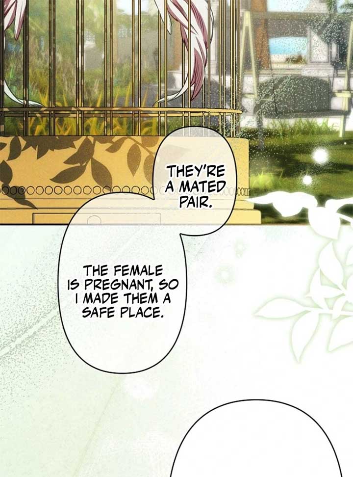 Lily Bush’s Substitute Marriage Chapter 24 96