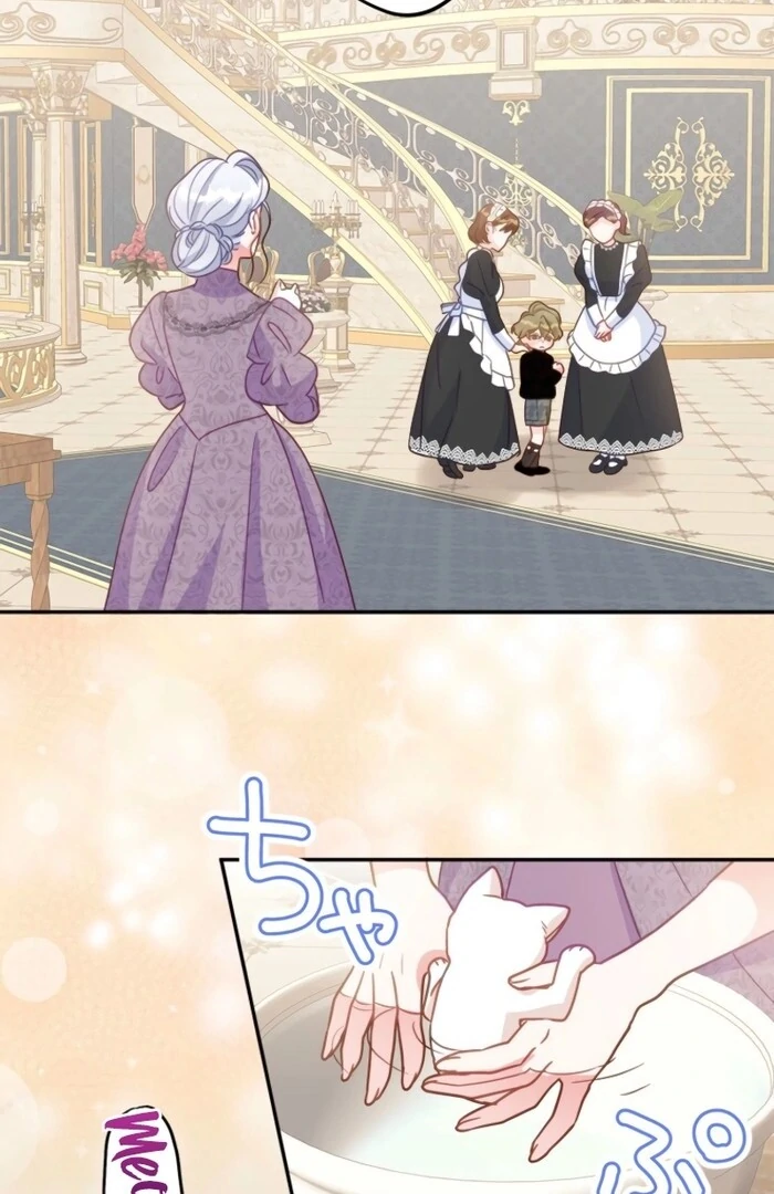 The Stepmother Doesn’t Want to Be Killed by the Villainous Son Chapter 23 54