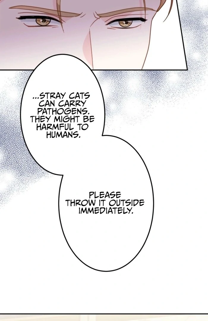 The Stepmother Doesn’t Want to Be Killed by the Villainous Son Chapter 23 60