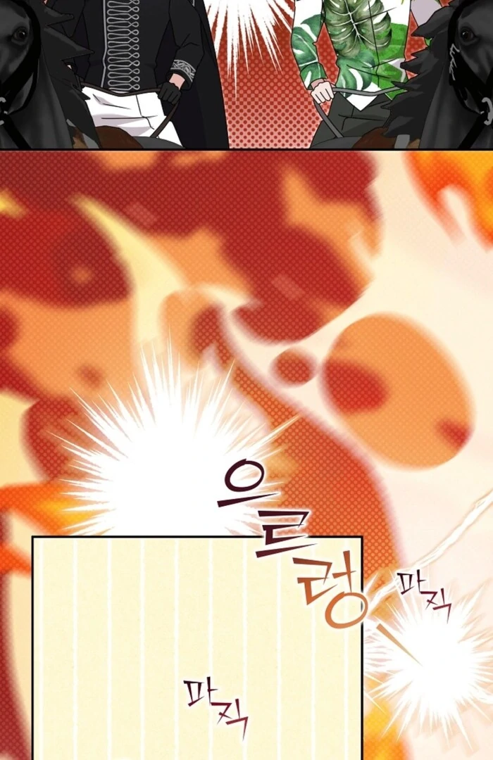 My Male Lead Is the Northern Black-Haired Grand Duke Chapter 38 73