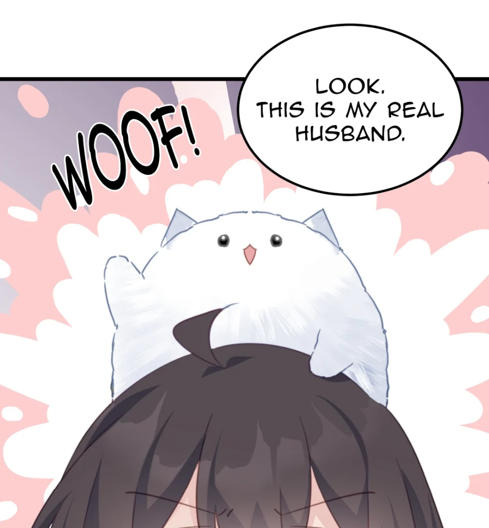 Pet the Little Princess Chapter 112 6