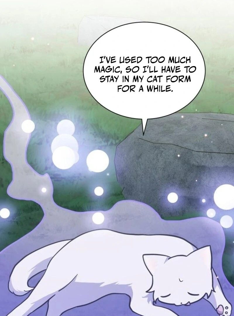 You’re a Cat, But You’ve Been Adopted by a Wolf Family? Chapter 72 31