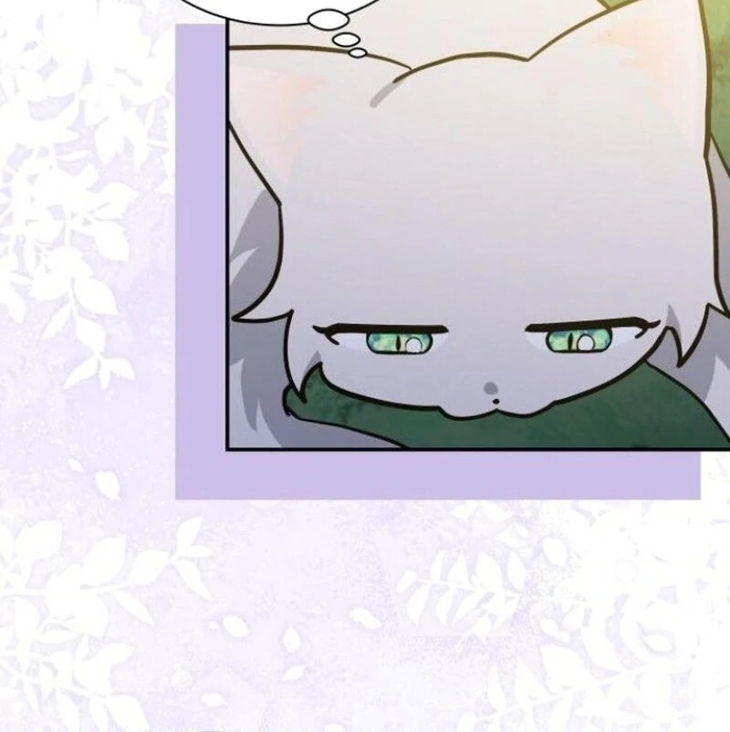 You’re a Cat, But You’ve Been Adopted by a Wolf Family? Chapter 72 33