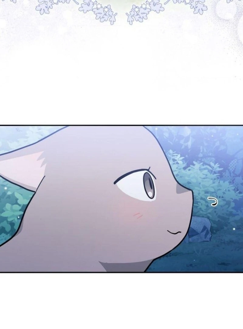 You’re a Cat, But You’ve Been Adopted by a Wolf Family? Chapter 72 49