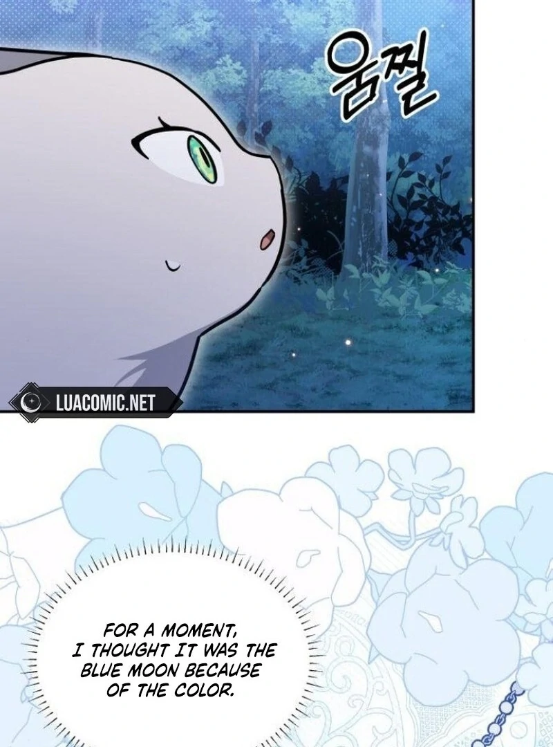 You’re a Cat, But You’ve Been Adopted by a Wolf Family? Chapter 72 69