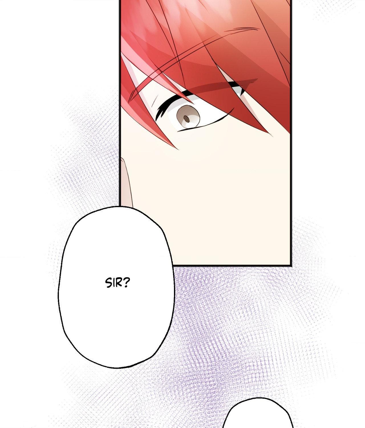 The Gilded Cage Chapter 34 62