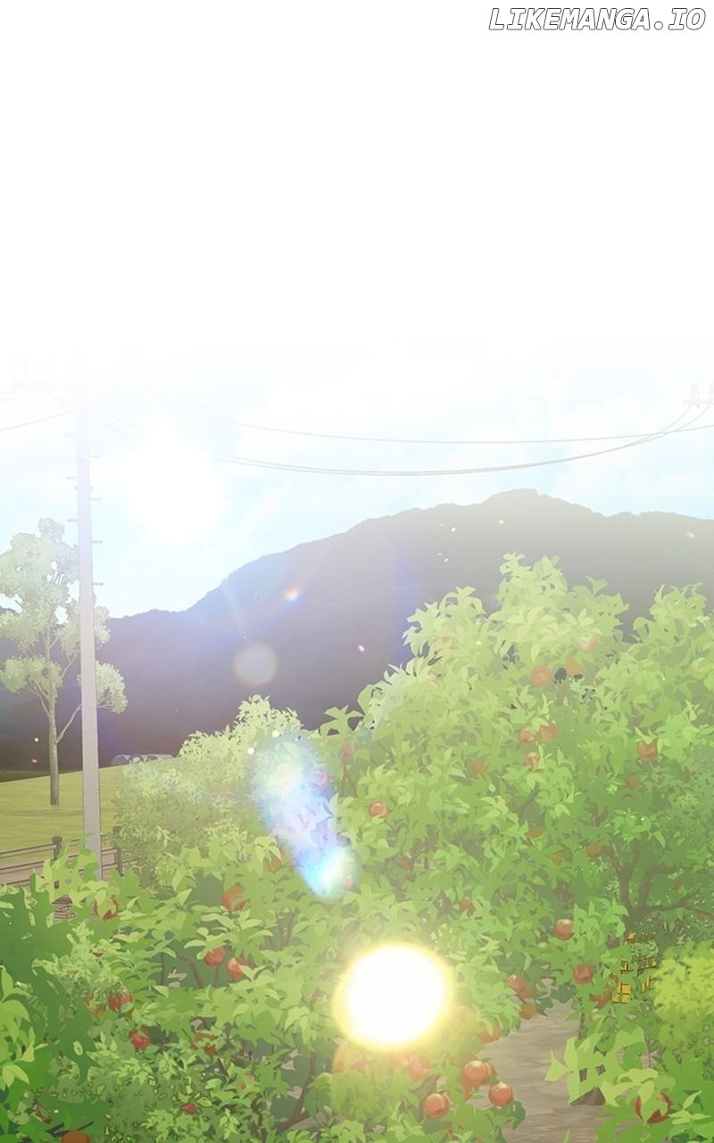 In the Spring Shadow Chapter 34 52