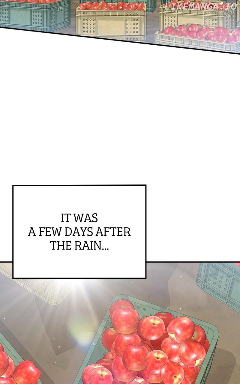 In the Spring Shadow Chapter 34 55