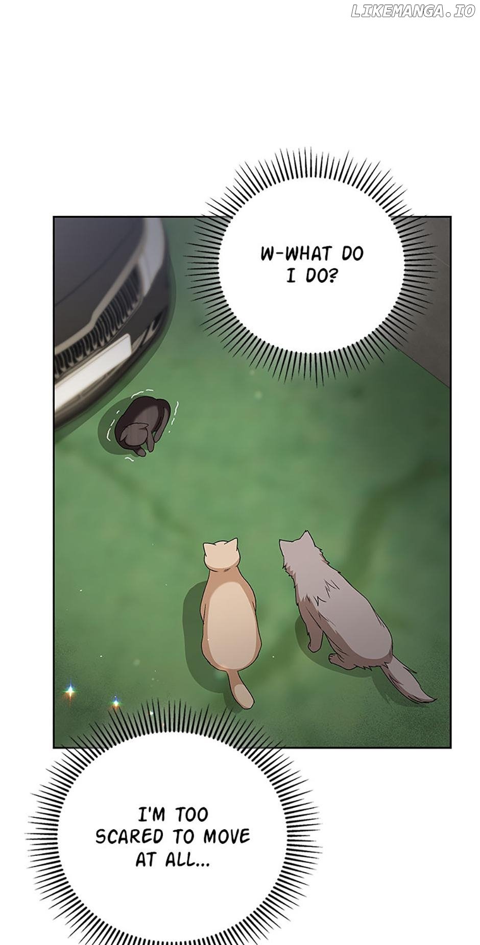 Hello! Veterinarian! Chapter 77 1