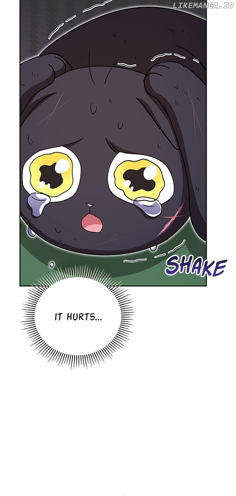 Hello! Veterinarian! Chapter 77 14