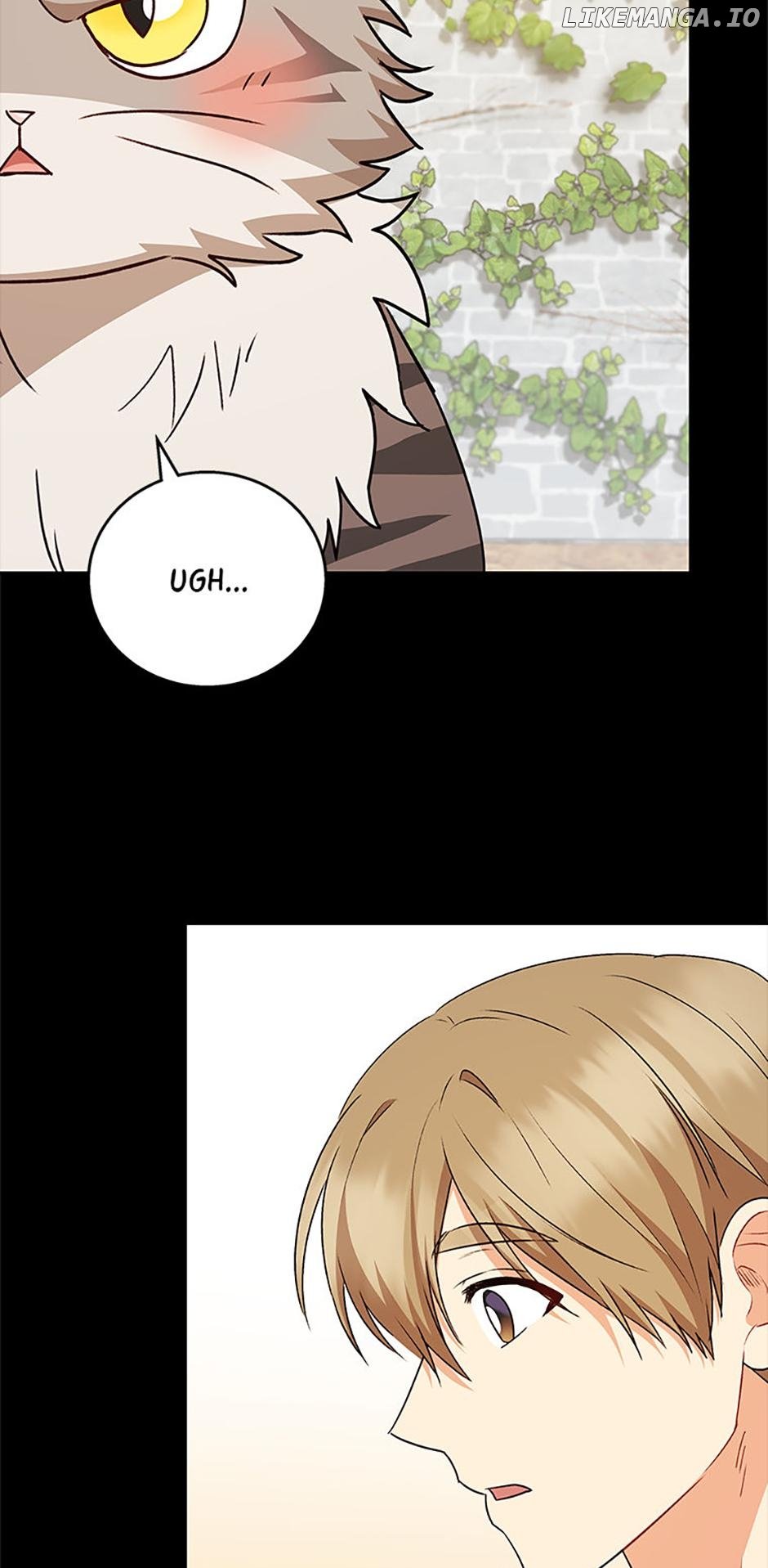 Hello! Veterinarian! Chapter 77 36