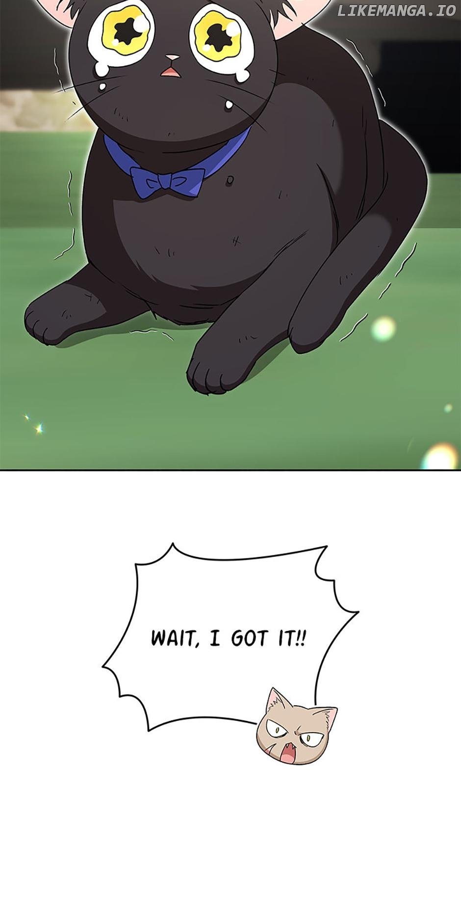 Hello! Veterinarian! Chapter 77 4