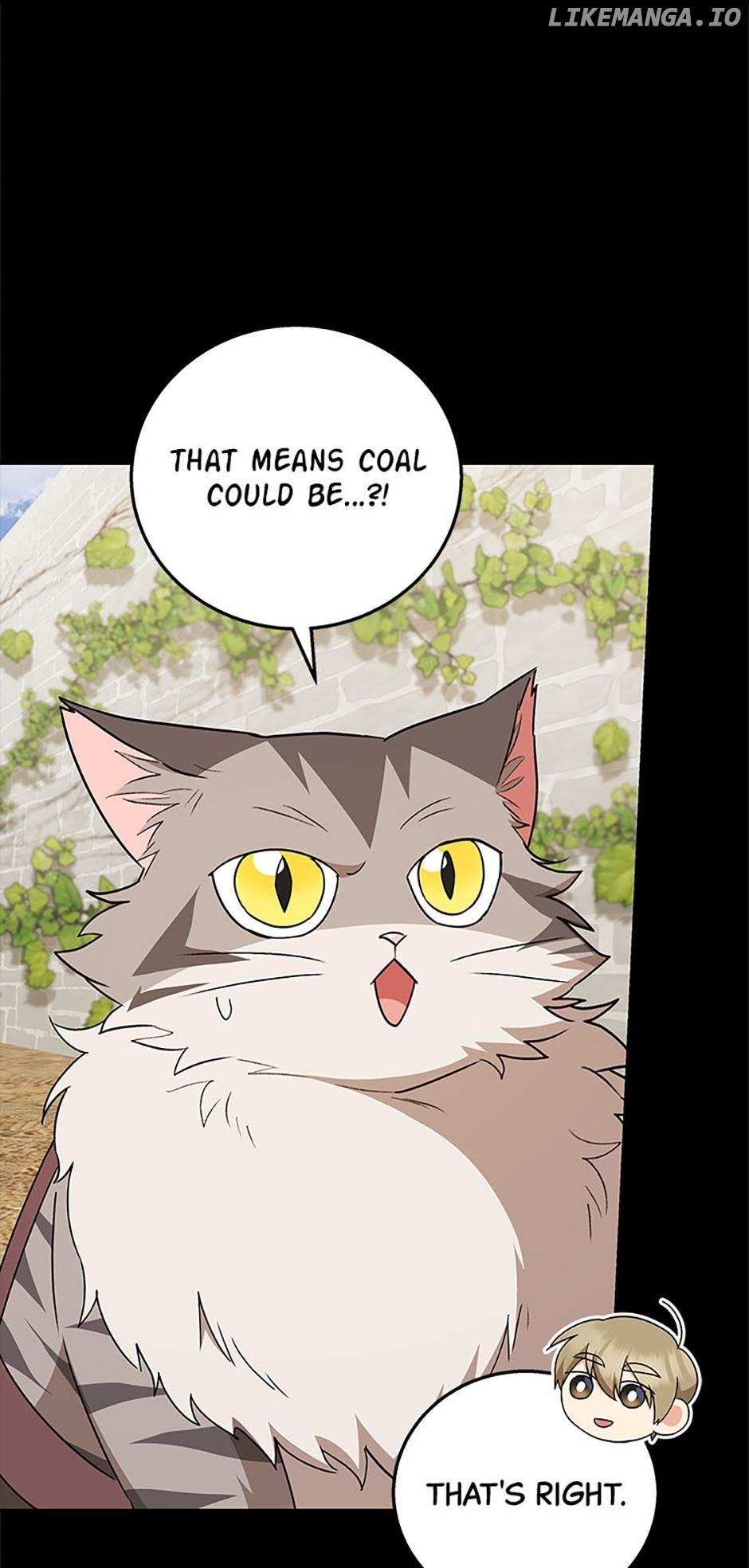 Hello! Veterinarian! Chapter 77 40