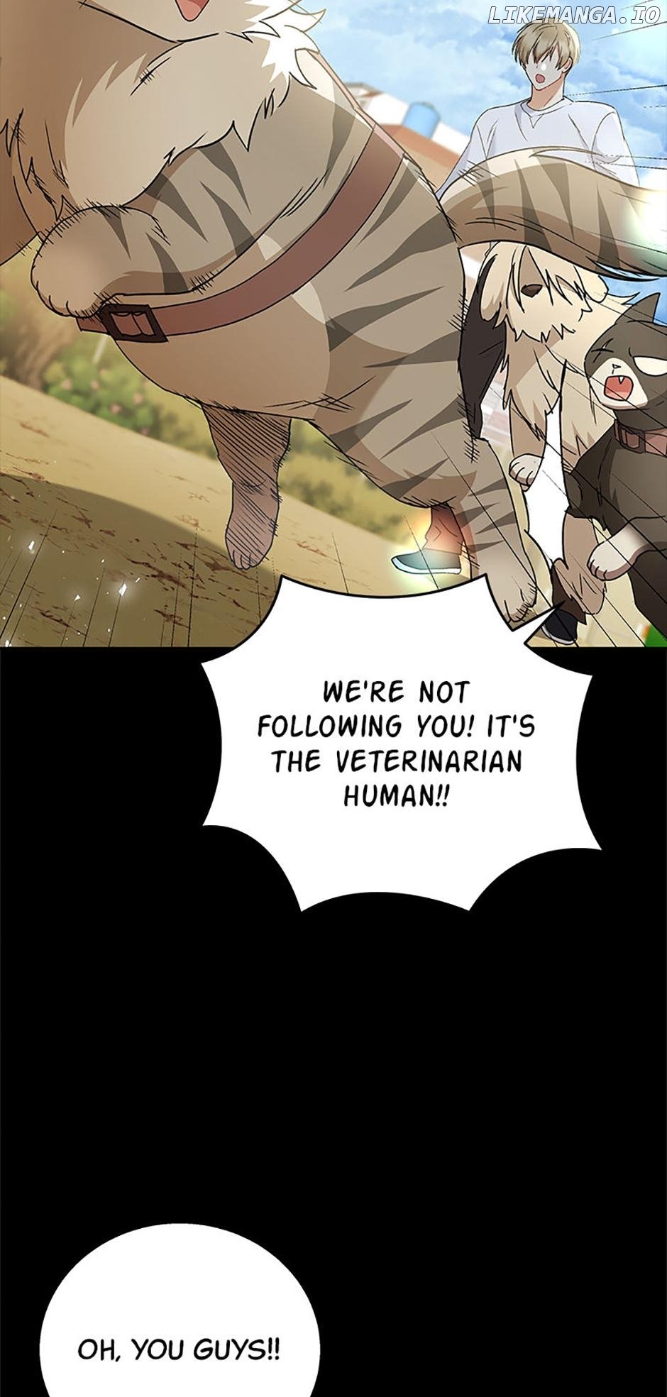 Hello! Veterinarian! Chapter 77 45