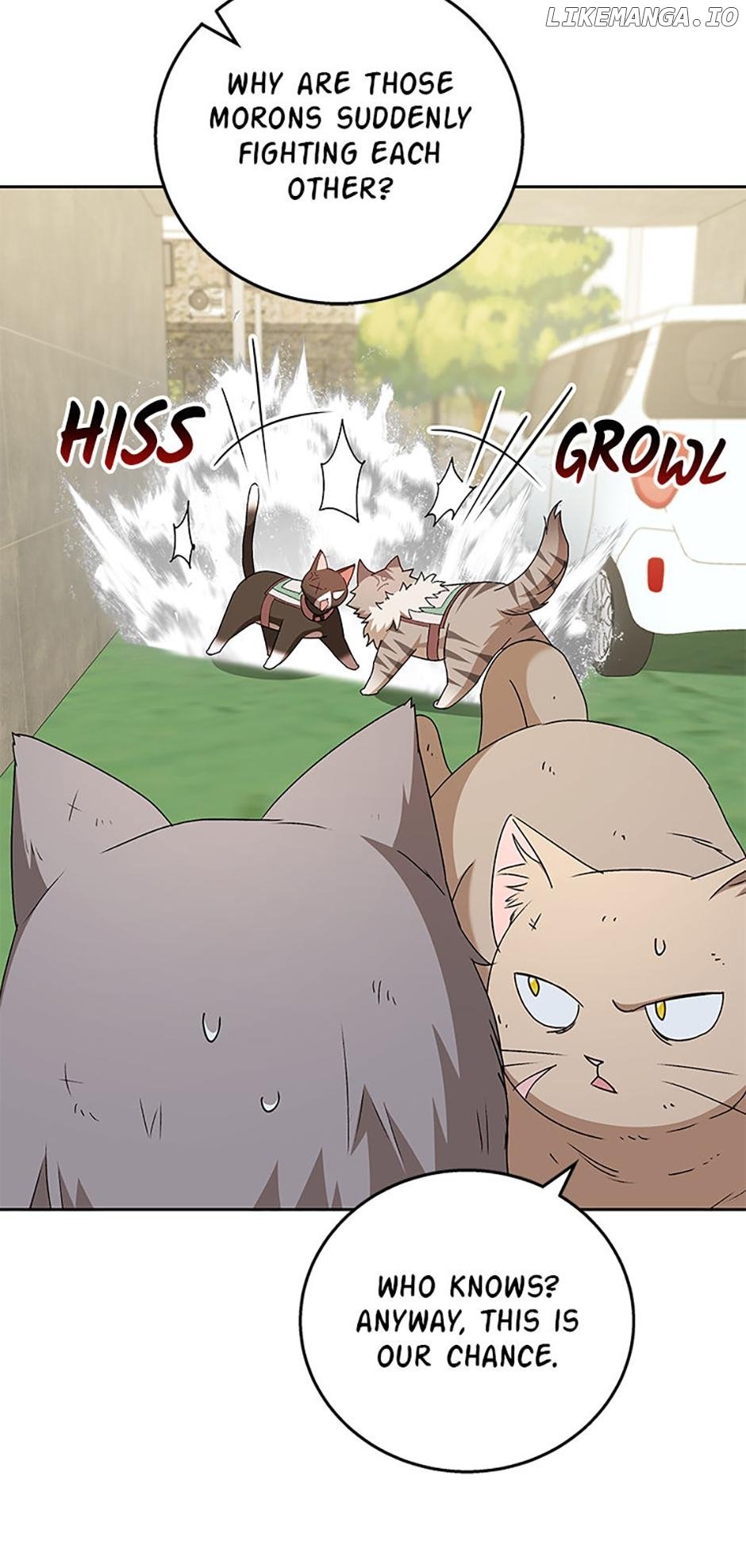 Hello! Veterinarian! Chapter 77 51