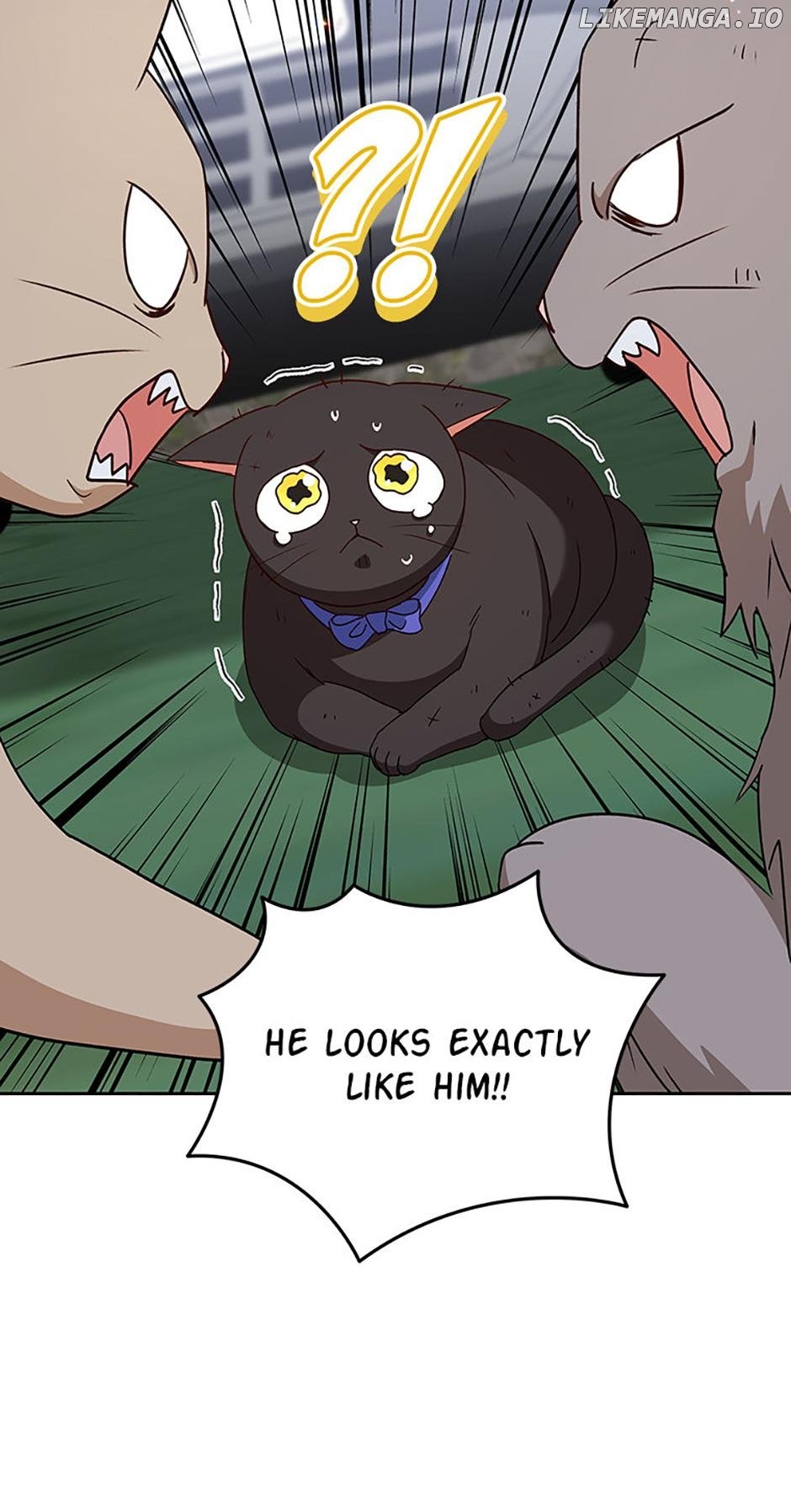 Hello! Veterinarian! Chapter 77 6