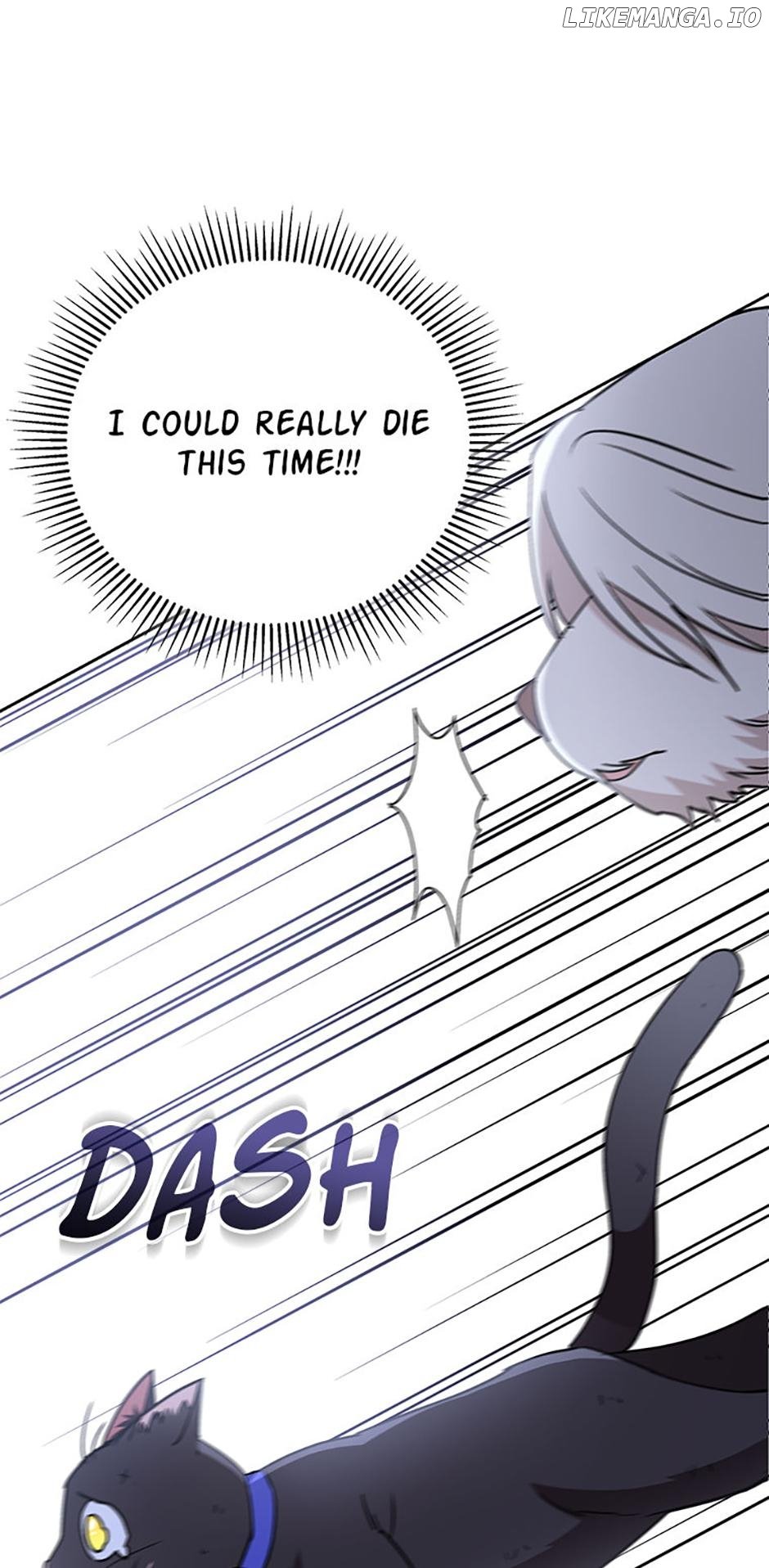 Hello! Veterinarian! Chapter 77 61