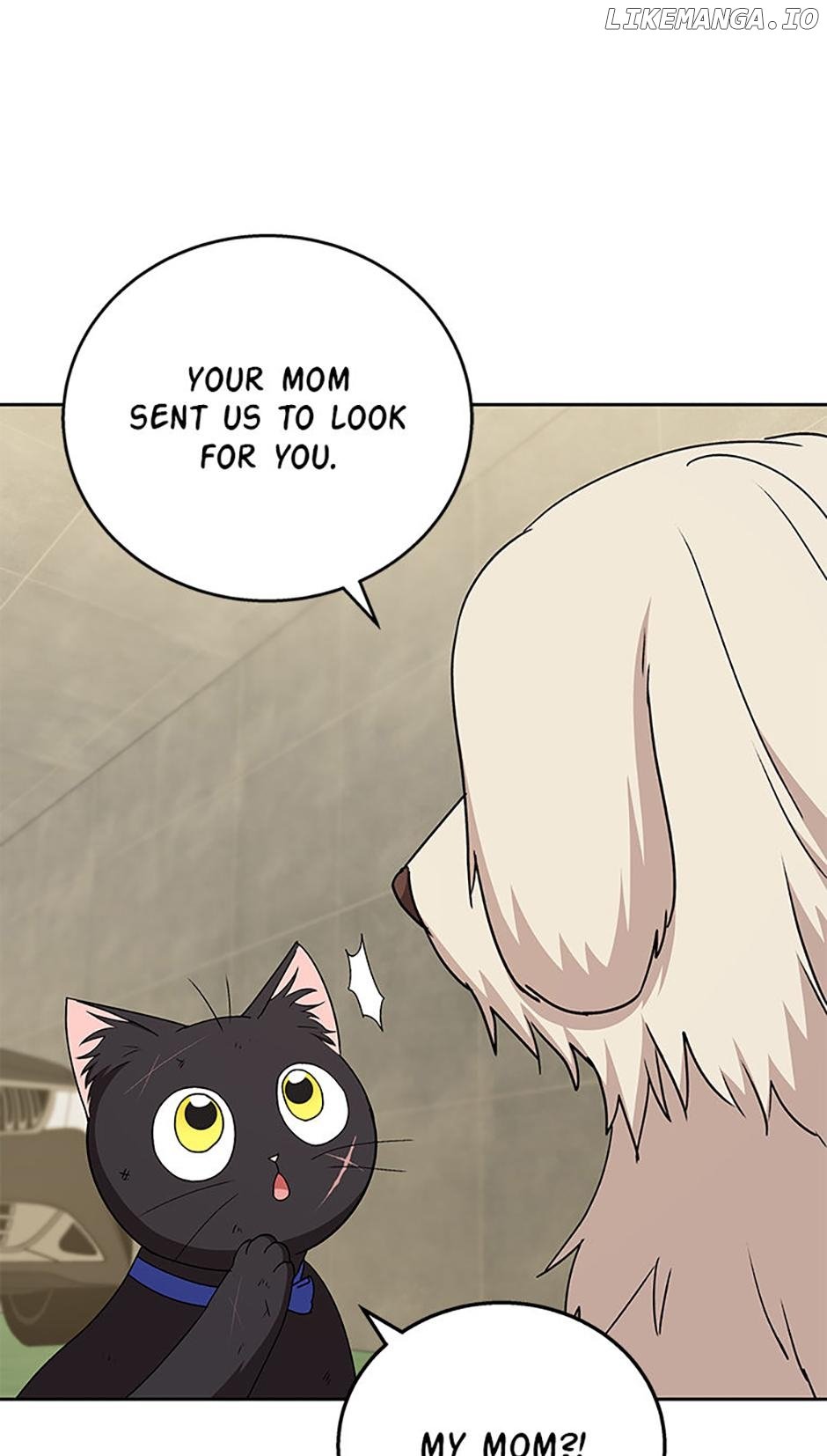 Hello! Veterinarian! Chapter 77 71