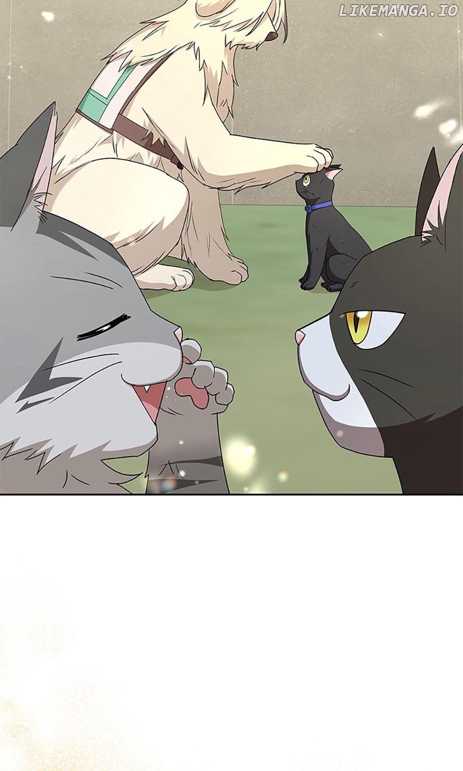 Hello! Veterinarian! Chapter 77 83