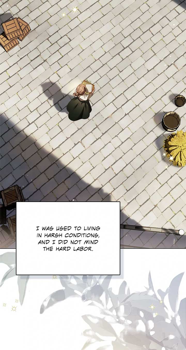 The Count’s Secret Maid Chapter 49 102