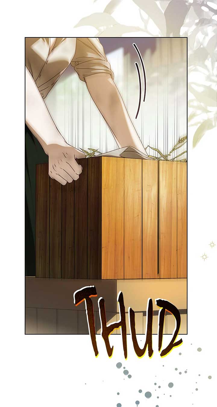 The Count’s Secret Maid Chapter 49 103