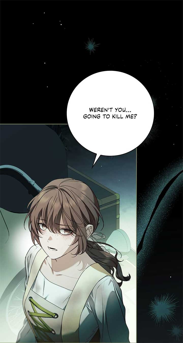 The Count’s Secret Maid Chapter 49 19
