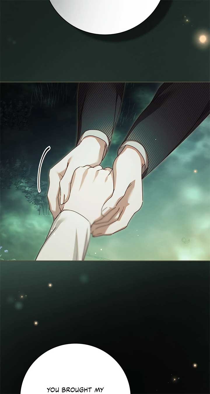 The Count’s Secret Maid Chapter 49 27