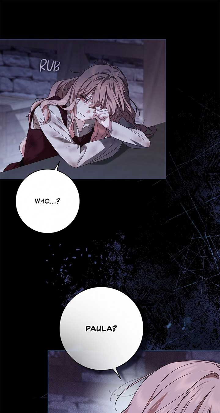 The Count’s Secret Maid Chapter 49 81