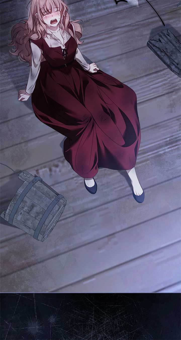 The Count’s Secret Maid Chapter 49 91
