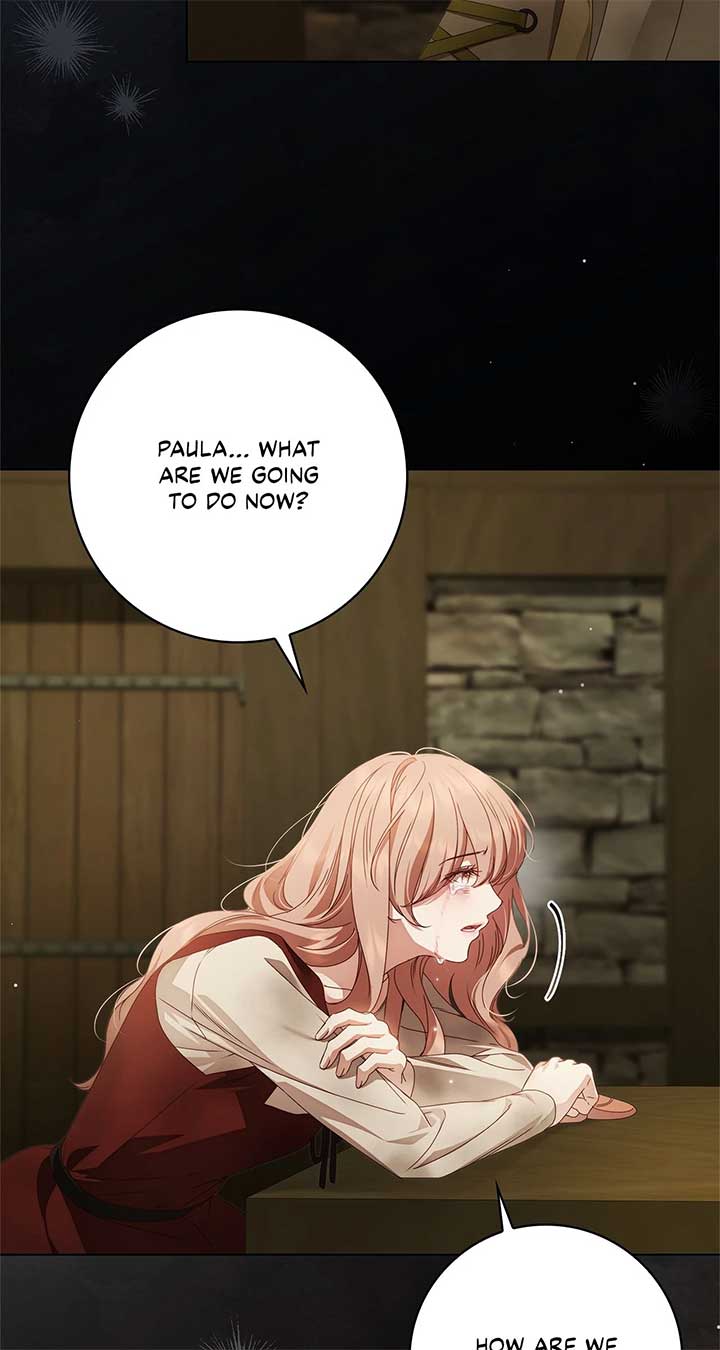 The Count’s Secret Maid Chapter 49 95