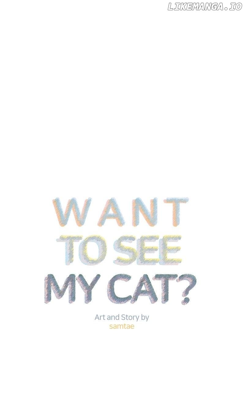 Want to See My Cat? Chapter 67 32