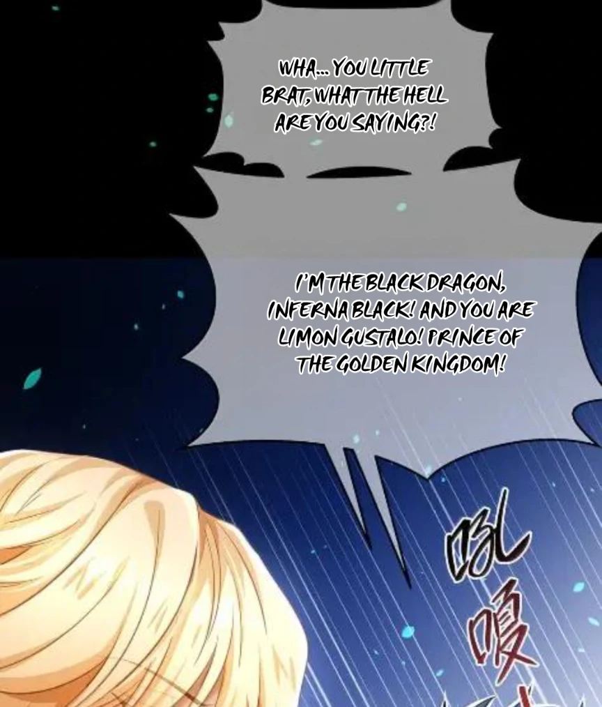 I Was Reborn as His Highness the Prince’s Little Evil Dragon Chapter 90 24