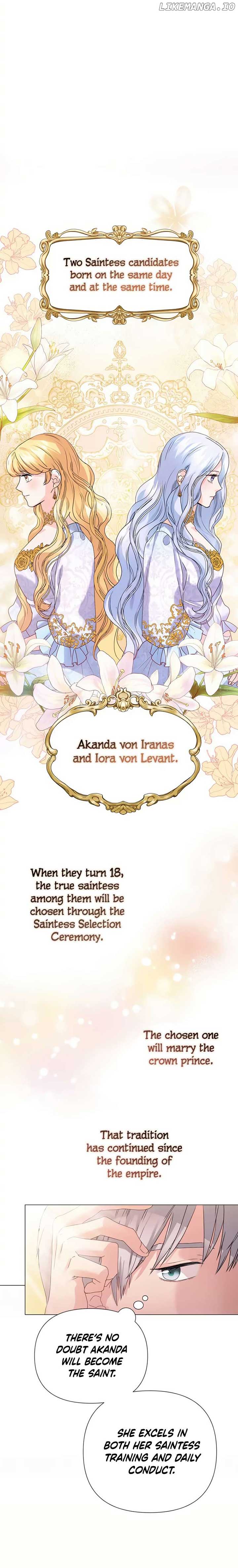 Secret Love Affair Between a Former Saint and a Dark Hero Chapter 2 17