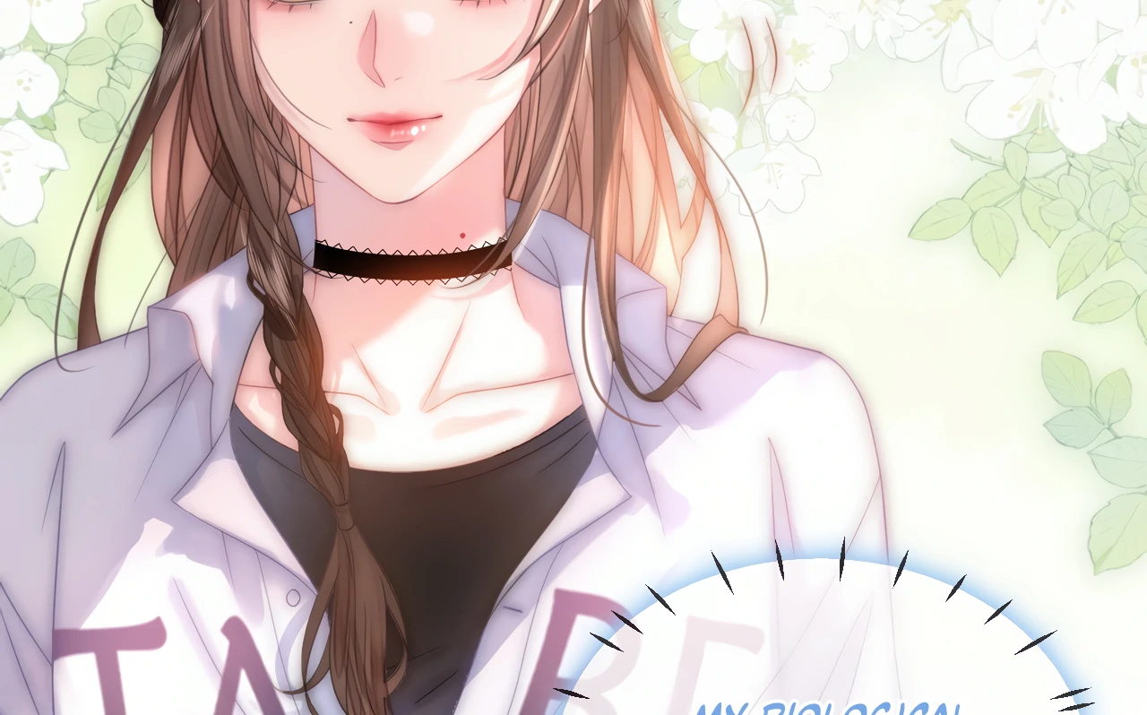 The Lady’s Secret Identity Stuns The City Once More Chapter 1 87