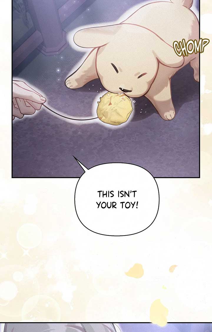 The Queen’s Secret Lessons Chapter 61 31