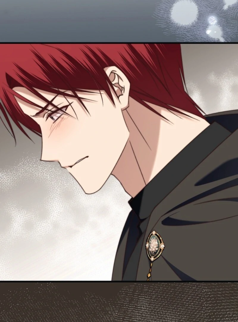 The Guidebook for Villainesses Chapter 61 69