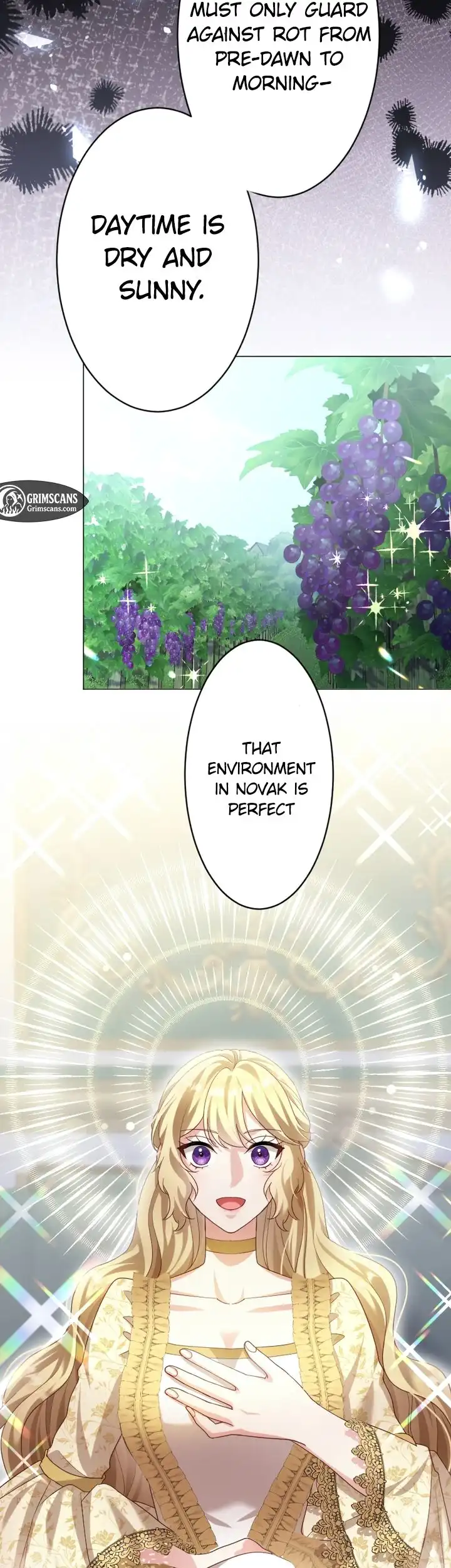 Ava the despised princess finds love and freedom Chapter 26 26