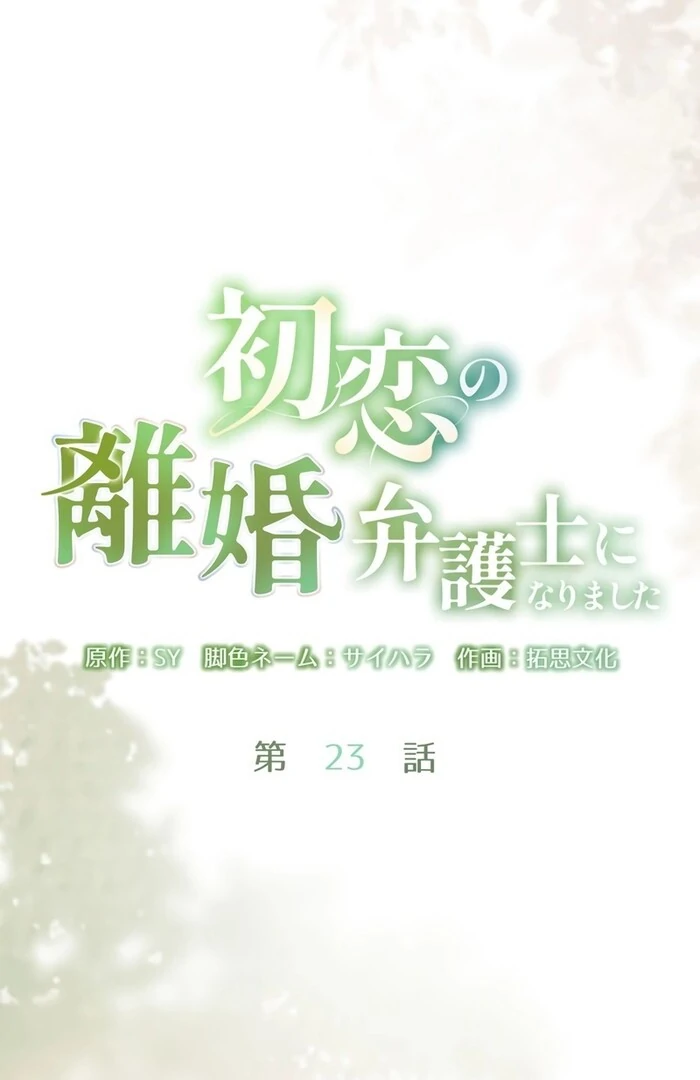 I Became a Divorce Lawyer for My First Love Chapter 23 23