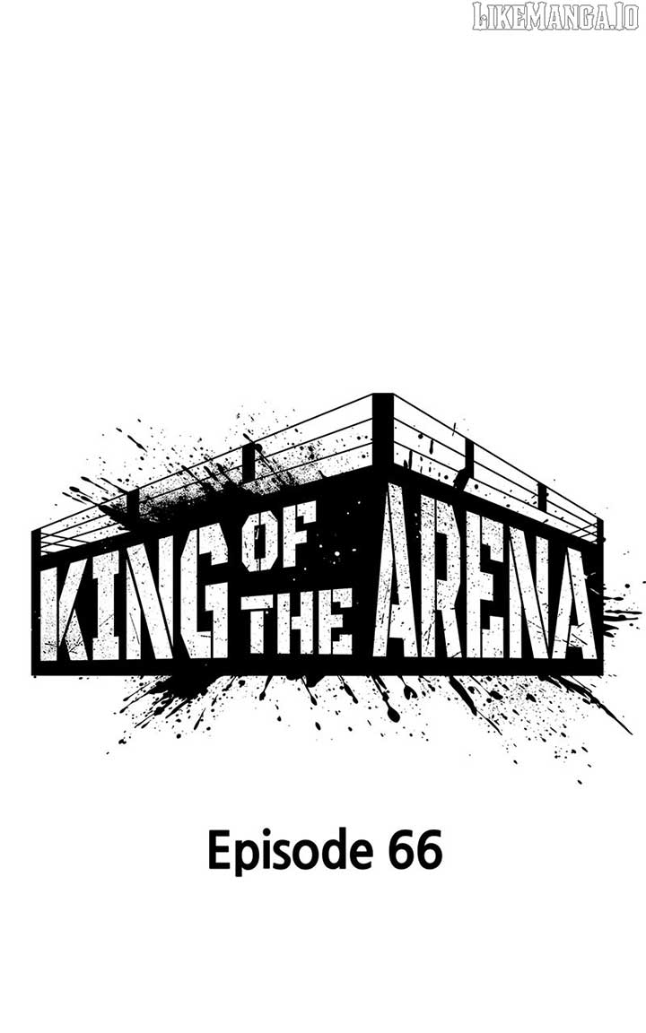 King of Violence Chapter 66 16