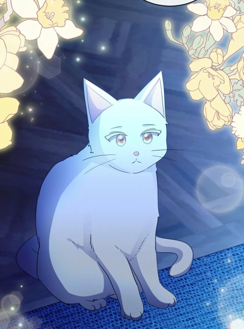 I Became the Wicked Beastman’s Catnip Chapter 33 74