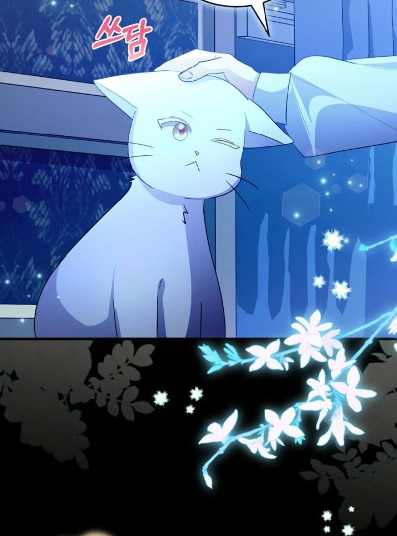 I Became the Wicked Beastman’s Catnip Chapter 33 80