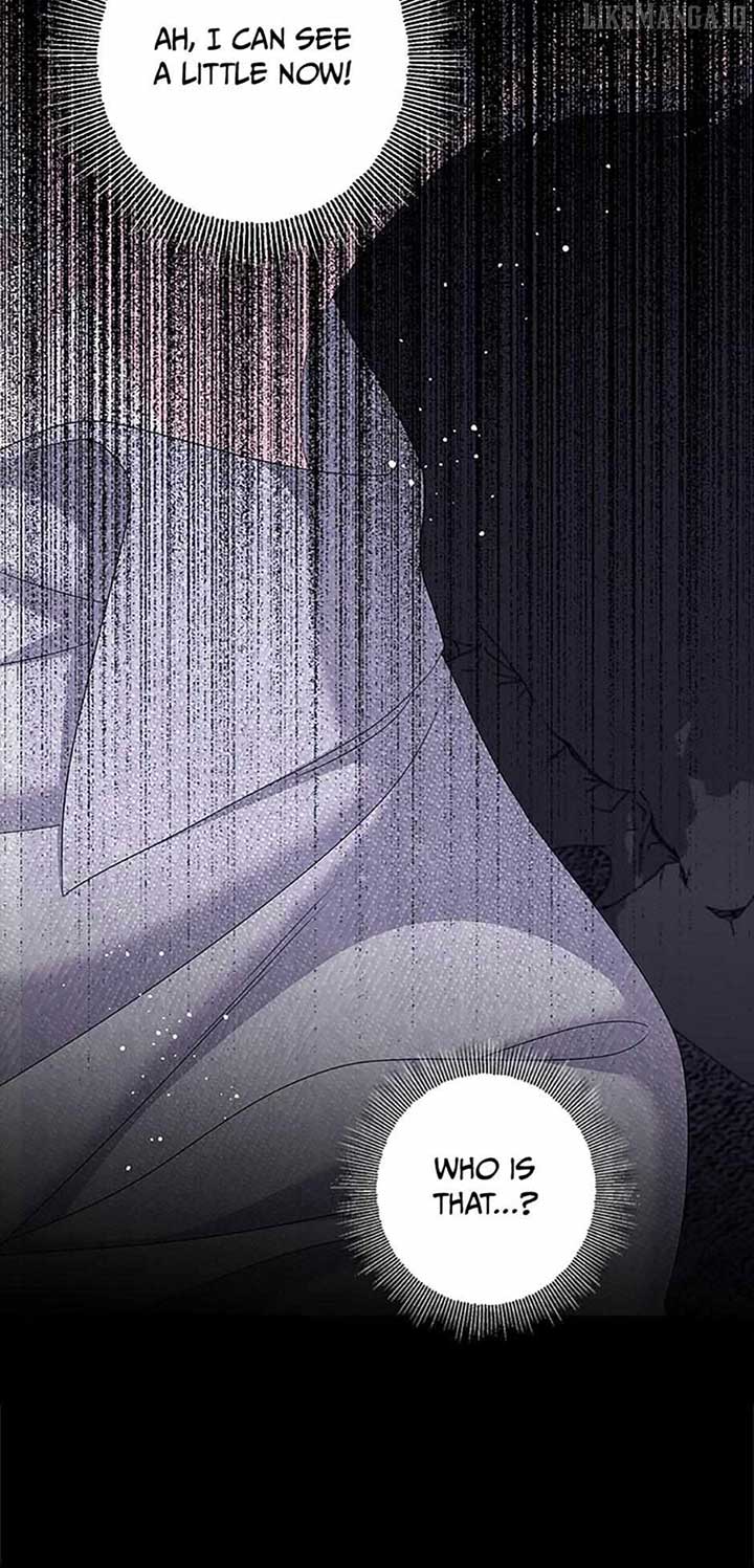The Obsessive Male Lead Made Me The Female Lead Chapter 60 41