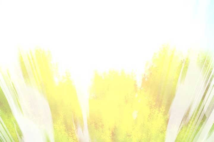 Lord of Mana Chapter 26 299