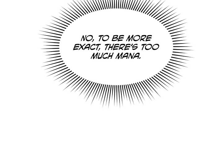 Lord of Mana Chapter 33 29