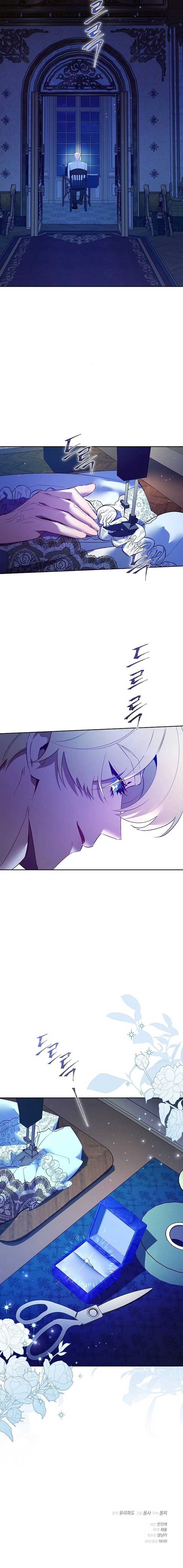 The Villainous Duke’s Pet Bird Chapter 33 17