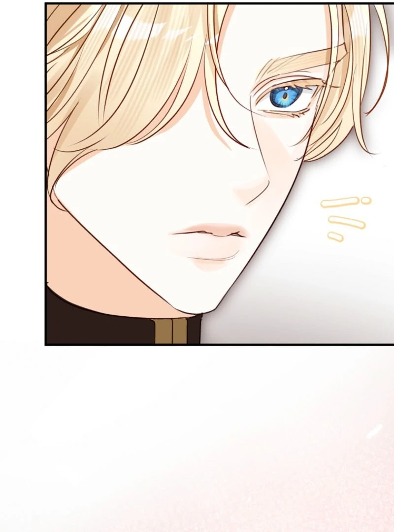 The Archduke’s Gorgeous Wedding Was a Fraud Chapter 84 101